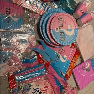 Gender Reveal Party Supplies Set - Pink and Blue